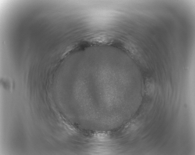 X0000054461297200508051940