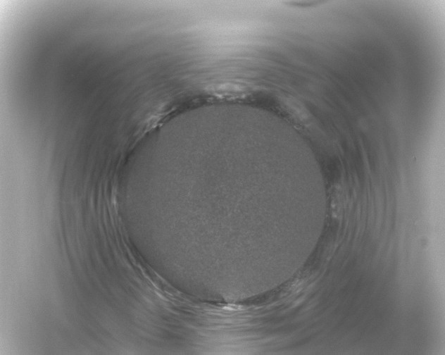 X0000054461298200508051940