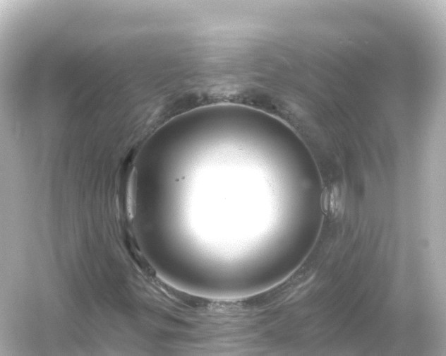 X0000054461299200508051940