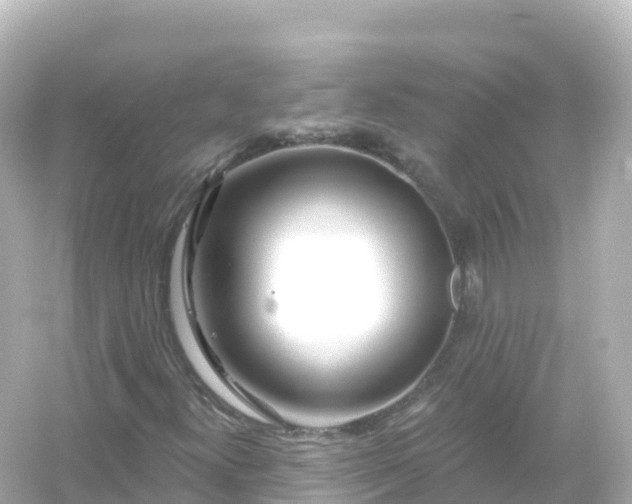 X0000054461300200508051940