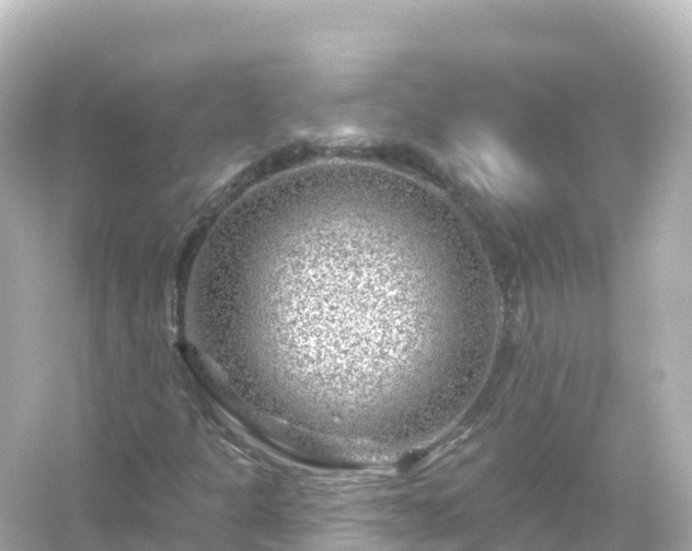 X0000054461301200508051940