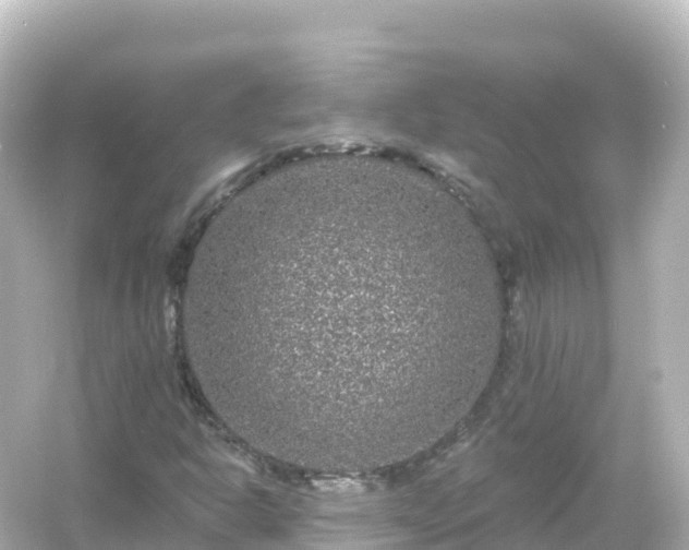 X0000054461302200508051940