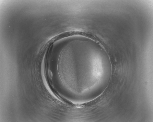 X0000054461303200508051940