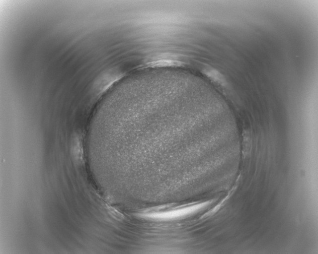 X0000054461305200508051940