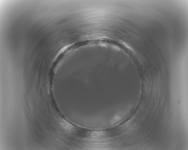 X0000054461306200508051940