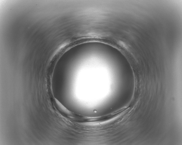 X0000054461307200508051940