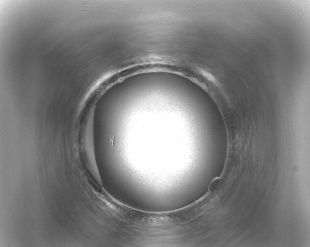 X0000054461310200508051940