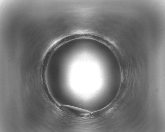 X0000054461311200508051940