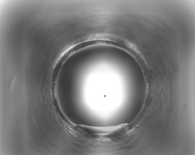 X0000054461312200508051940