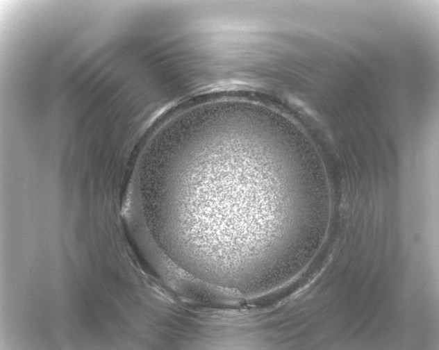 X0000054461313200508051940