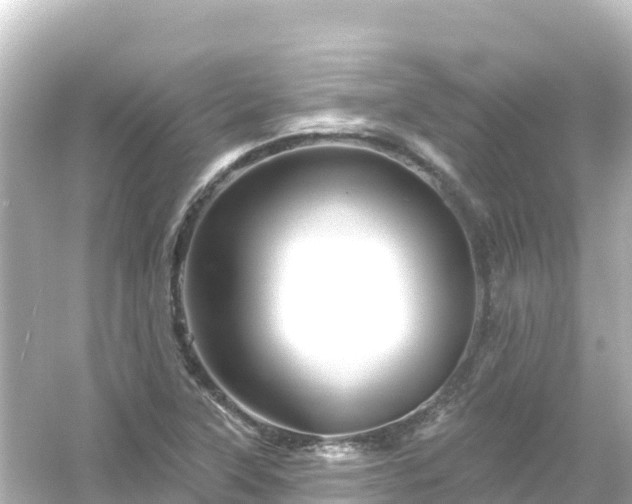 X0000054461315200508051940