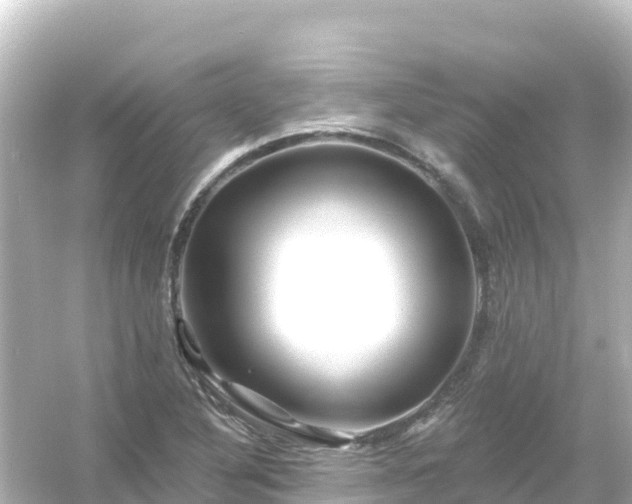 X0000054461316200508051940