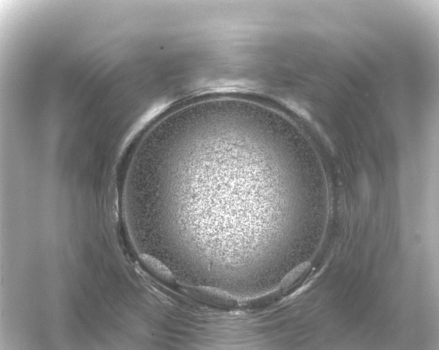 X0000054461317200508051940