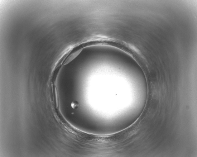 X0000054461318200508051940