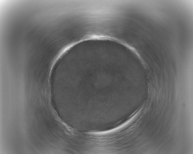 X0000054461319200508051940