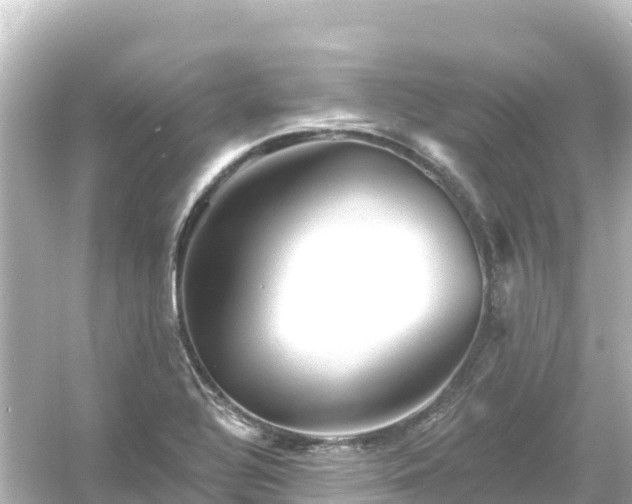 X0000054461320200508051940