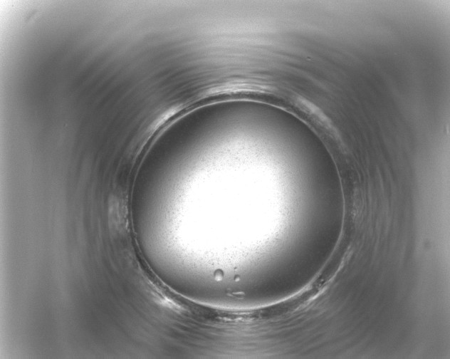 X0000054461321200508051940