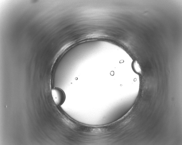 X0000054461322200508051941