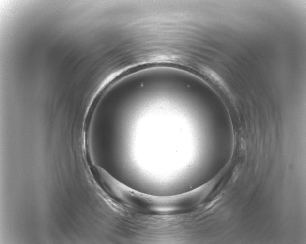 X0000054461324200508051941