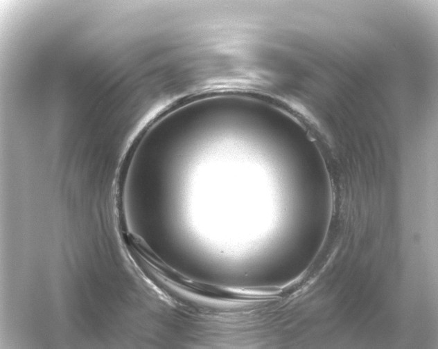 X0000054461325200508051941