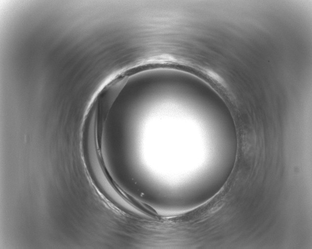 X0000054461326200508051941