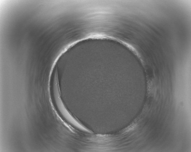 X0000054461327200508051941