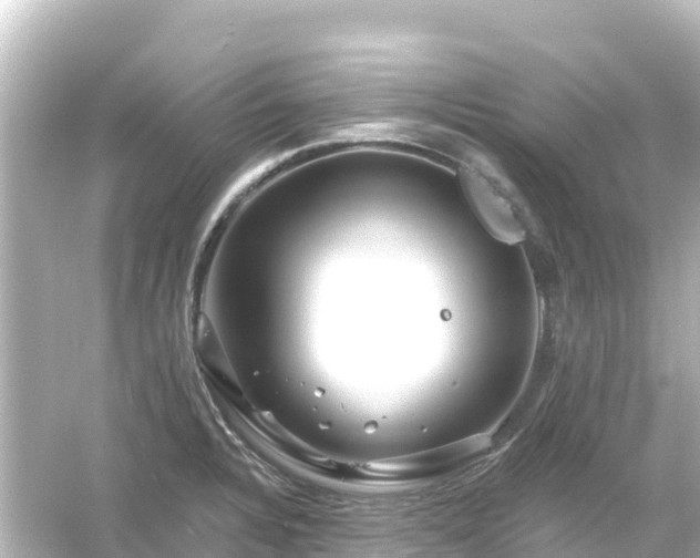 X0000054461328200508051941