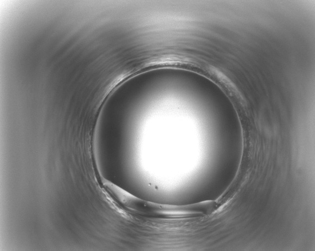 X0000054461329200508051941