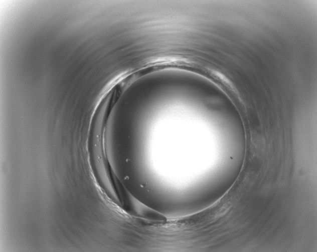 X0000054461330200508051941