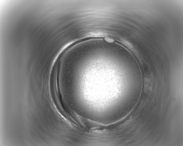 X0000054461331200508051941