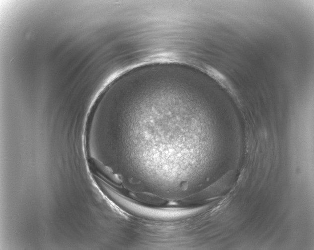 X0000054461334200508051941