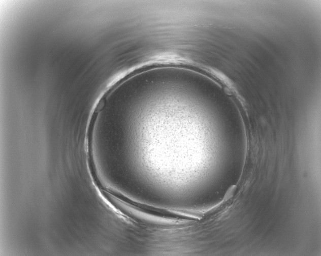 X0000054461335200508051941