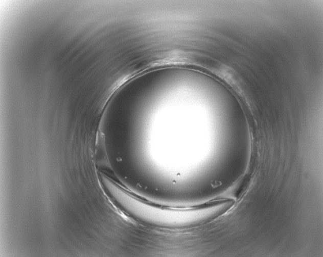 X0000054461337200508051941