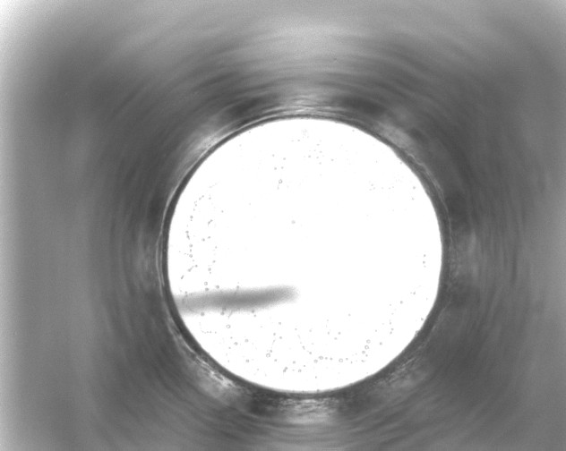 X0000054461338200508051941