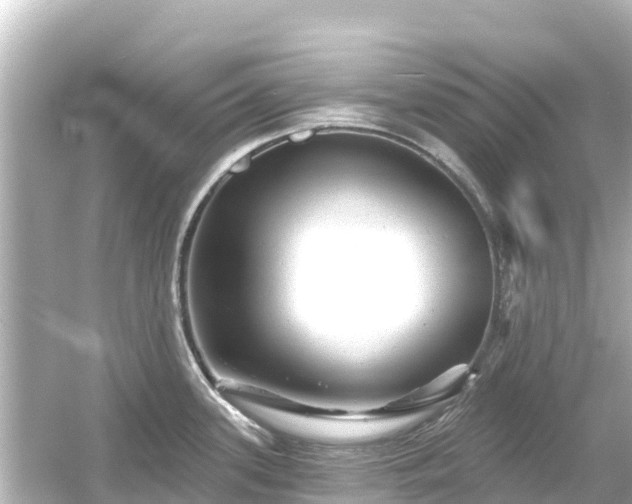 X0000054461339200508051941