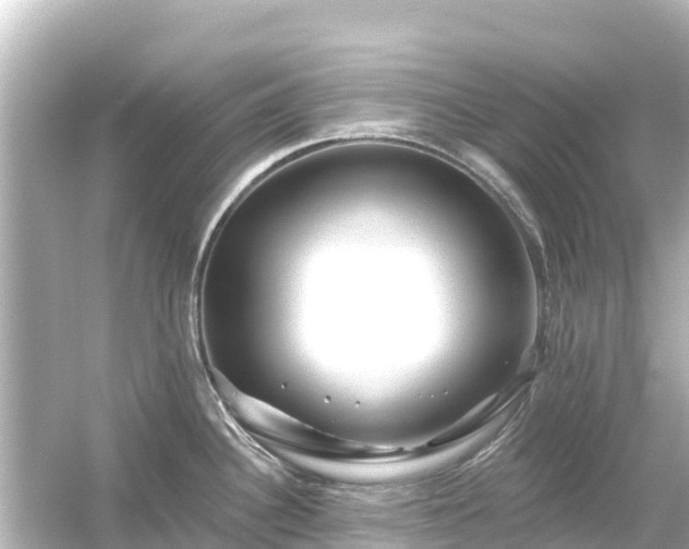 X0000054461340200508051941