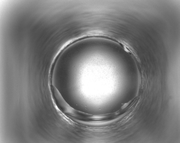 X0000054461342200508051941