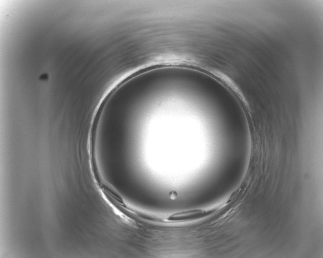 X0000054461343200508051941