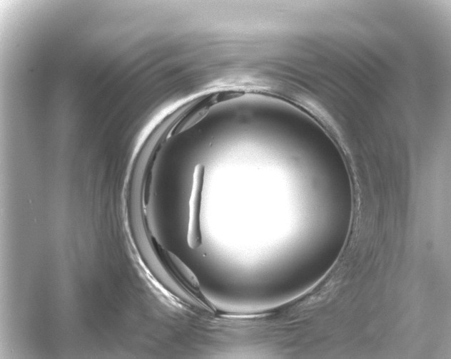 X0000054461344200508051941