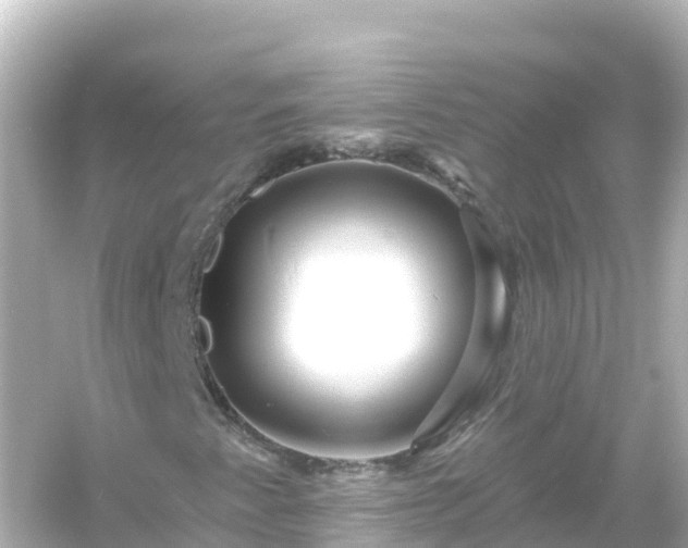 X0000054461345200508051940