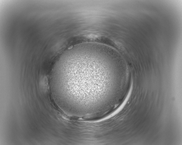 X0000054461347200508051940