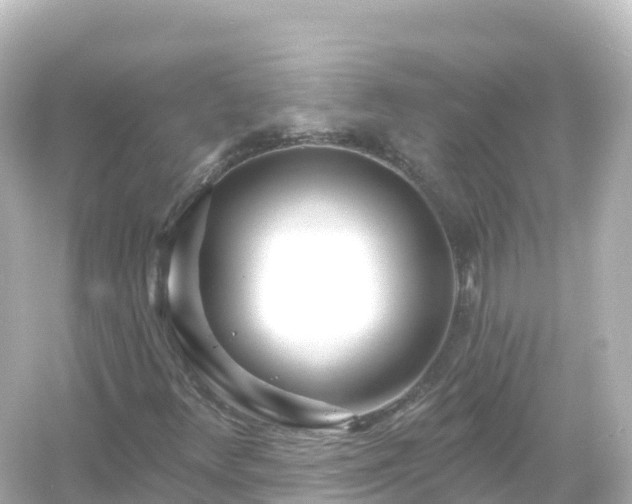 X0000054461348200508051940