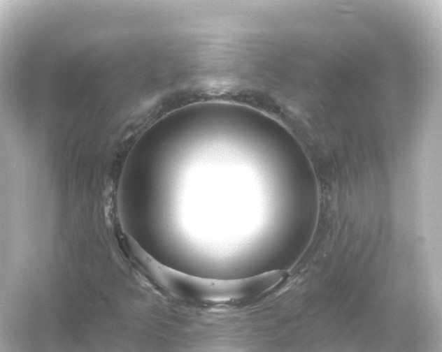 X0000054461349200508051940