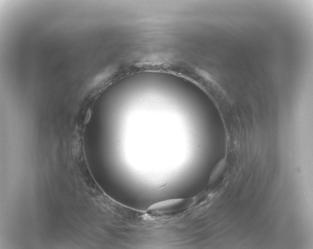 X0000054461350200508051940