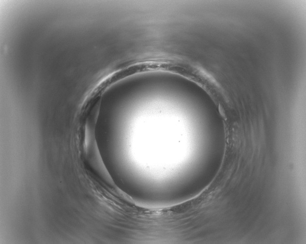 X0000054461352200508051940