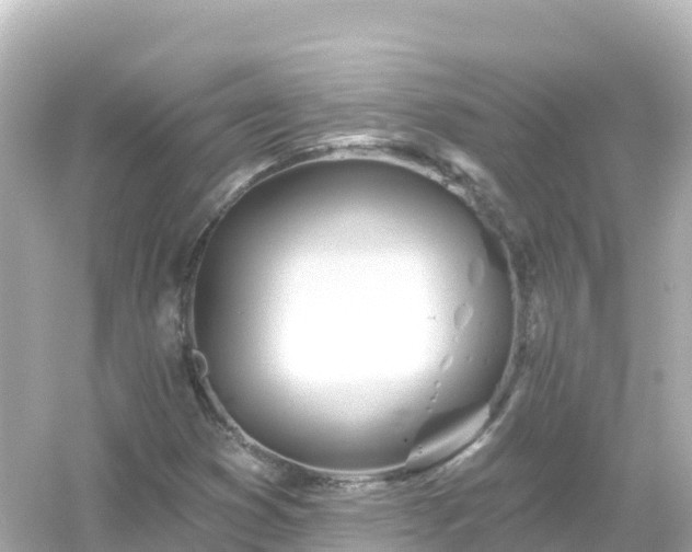 X0000054461353200508051940