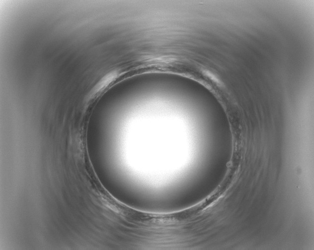 X0000054461354200508051940