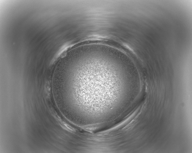 X0000054461355200508051940