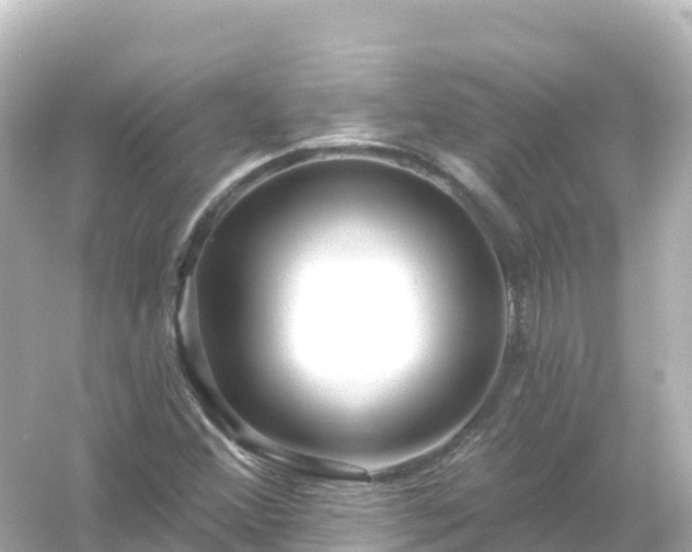 X0000054461356200508051940