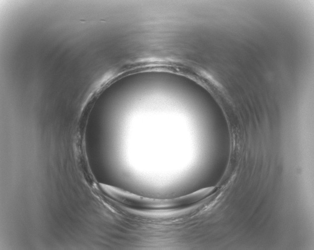 X0000054461357200508051940